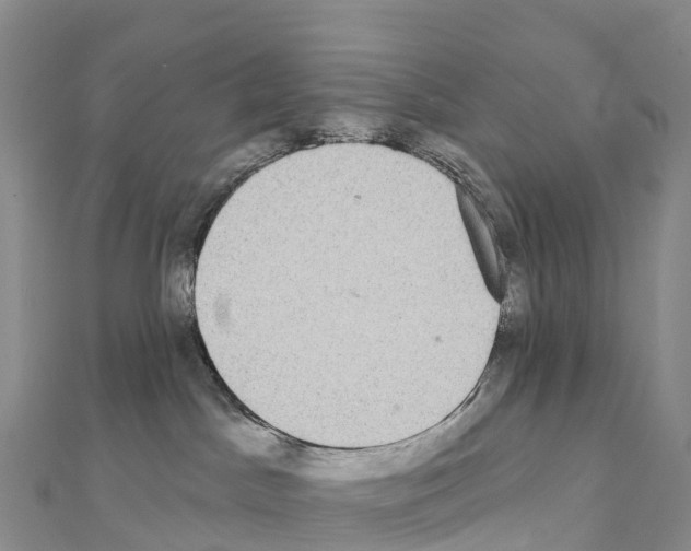 X0000110720045200907241215