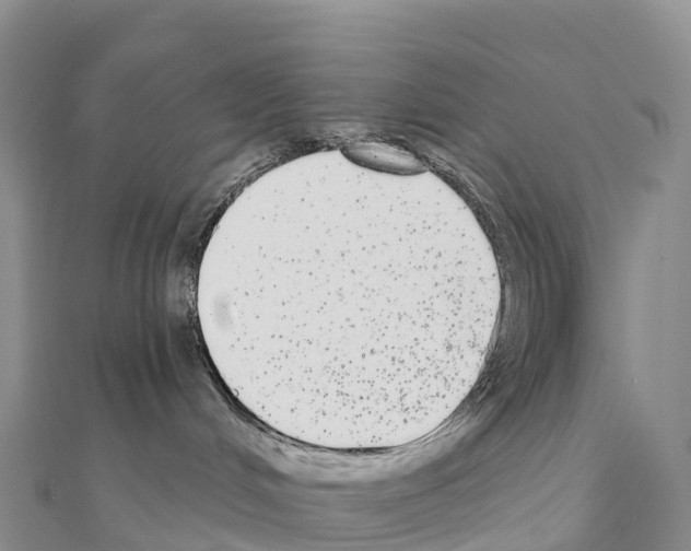 X0000110720048200907241215