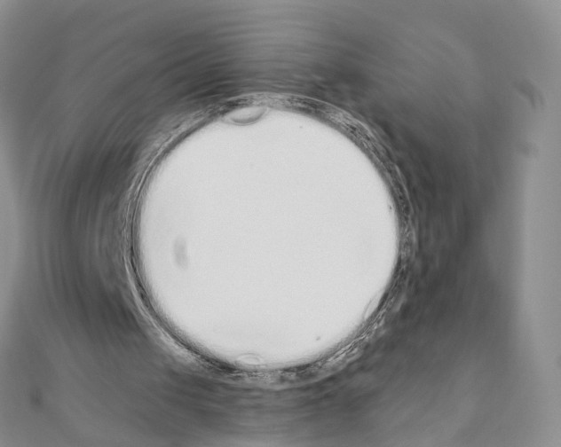 X0000110720049200907241215