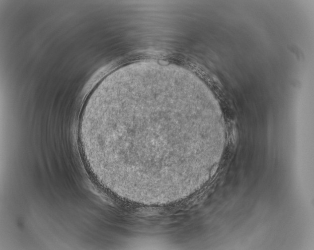 X0000110720051200907241215