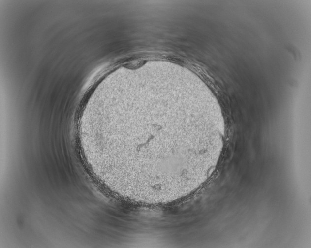 X0000110720053200907241215