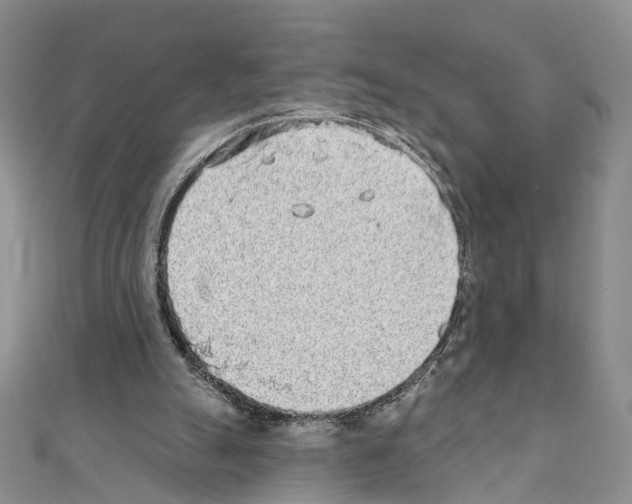 X0000110720055200907241215