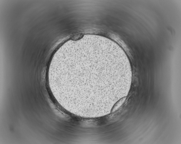 X0000110720058200907241215