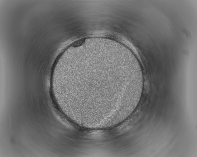 X0000110720059200907241215