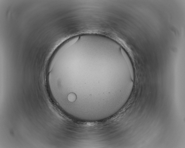 X0000110720060200907241215