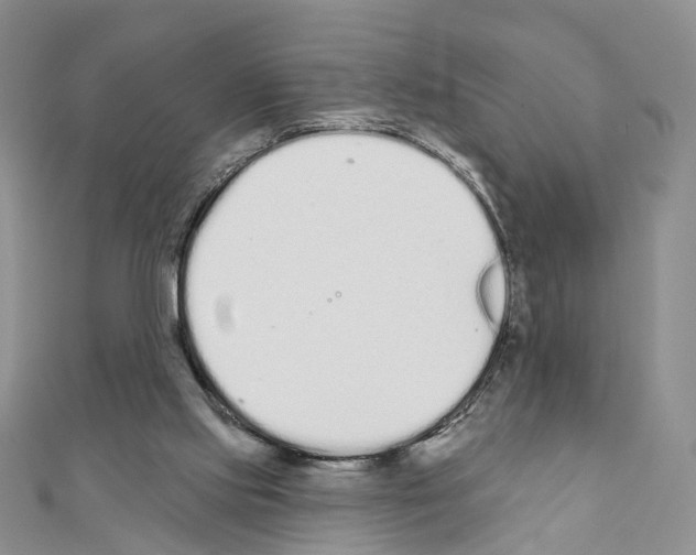 X0000110720061200907241215