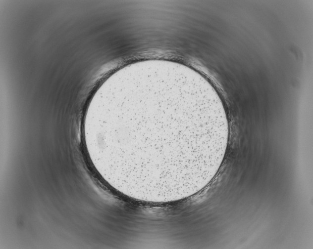 X0000110720062200907241215