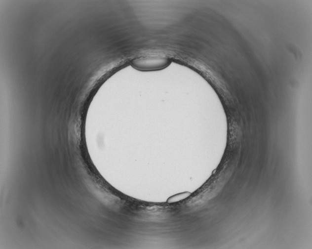 X0000110720064200907241215