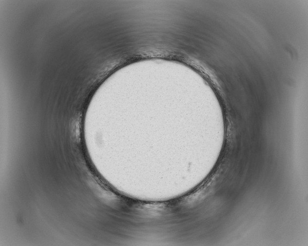 X0000110720065200907241215