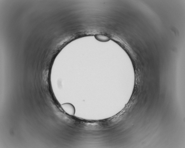 X0000110720066200907241215