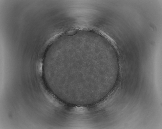 X0000110720067200907241215