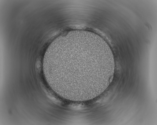 X0000110720069200907241215