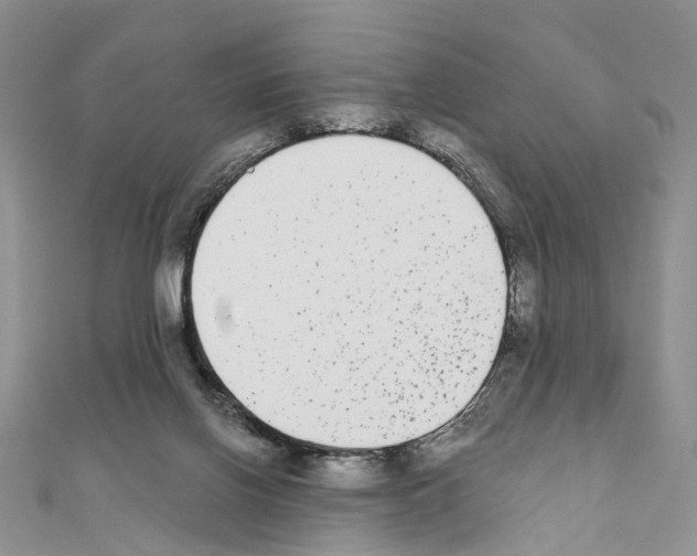 X0000110720070200907241215