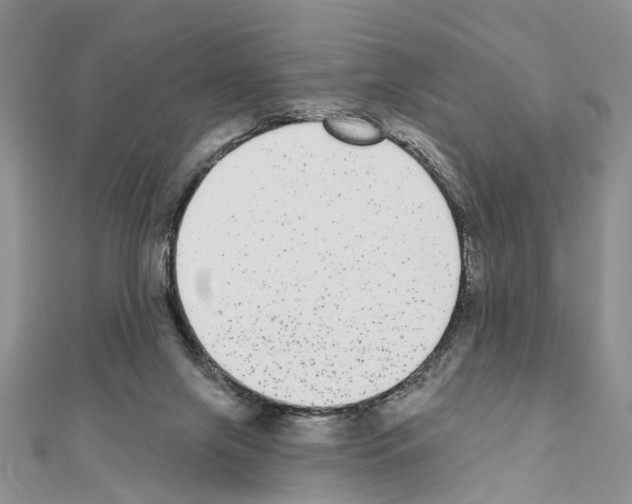 X0000110720071200907241215