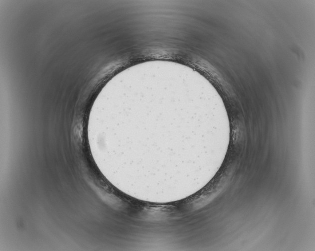 X0000110720072200907241215