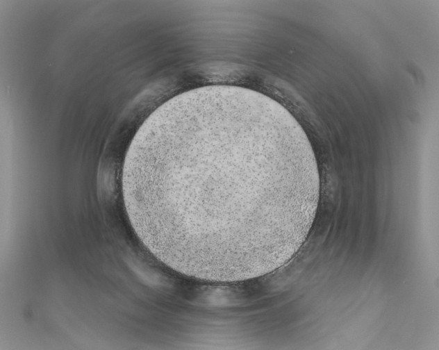 X0000110720074200907241215