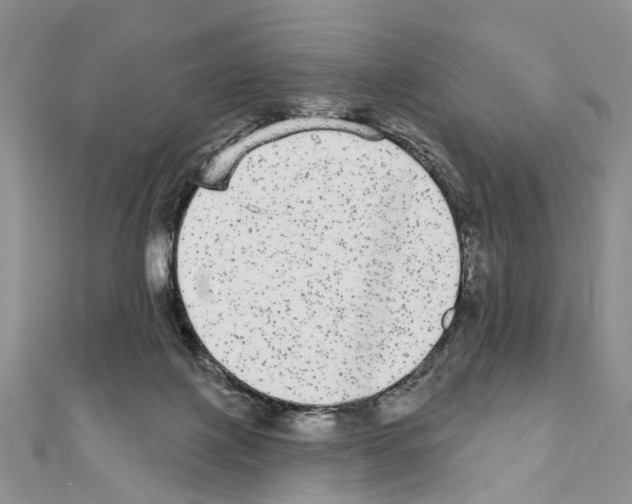 X0000110720075200907241215