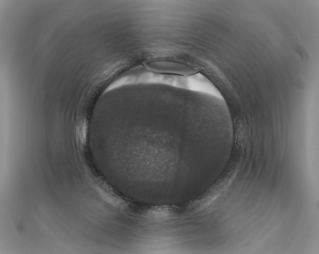 X0000110720076200907241215