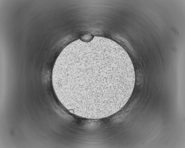 X0000110720077200907241215