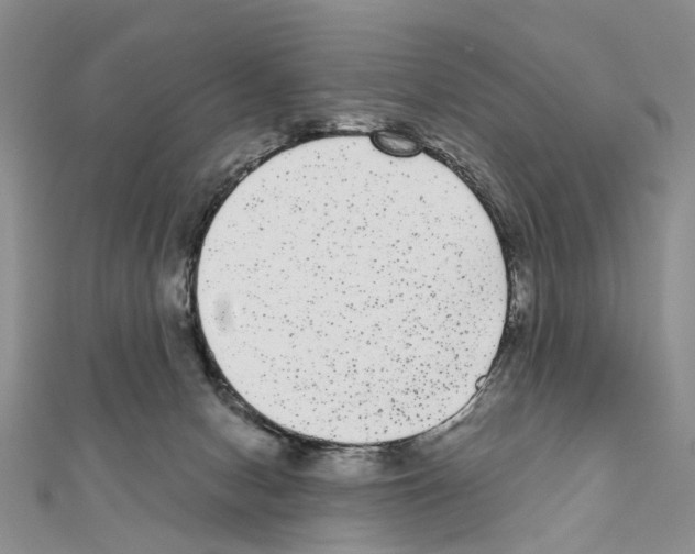 X0000110720078200907241215