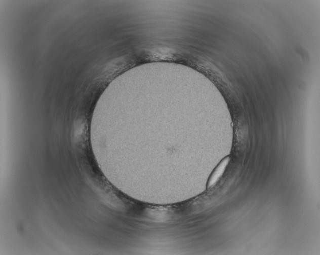 X0000110720079200907241215