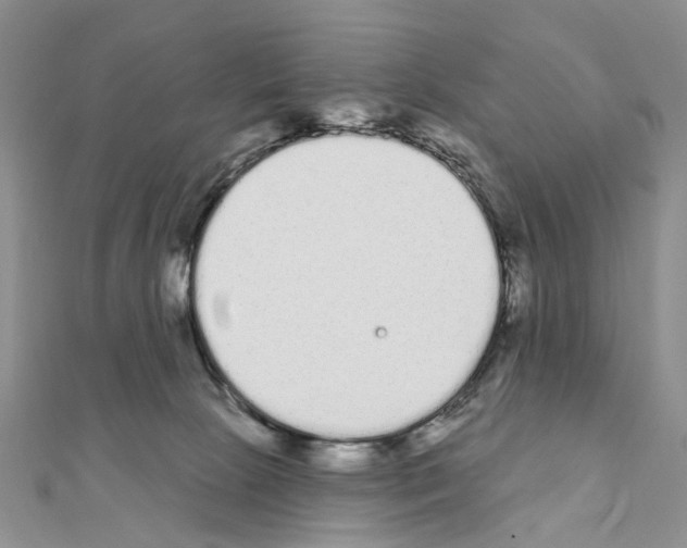 X0000110720081200907241215