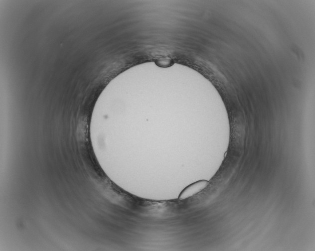 X0000110720083200907241215