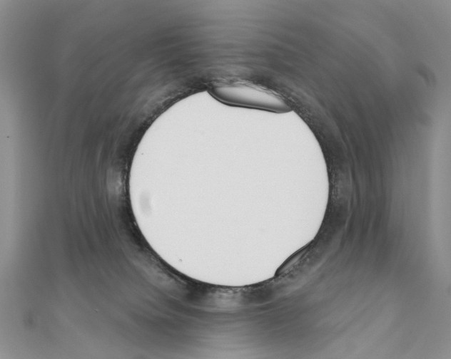 X0000110720084200907241215