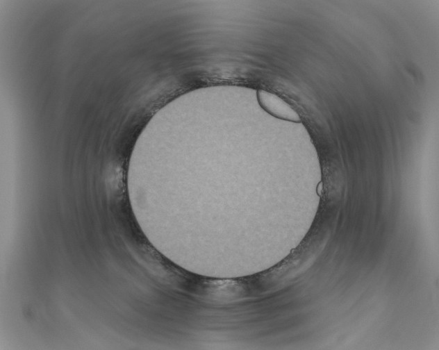 X0000110720087200907241215