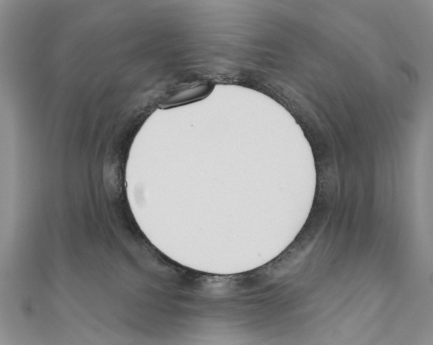 X0000110720088200907241215