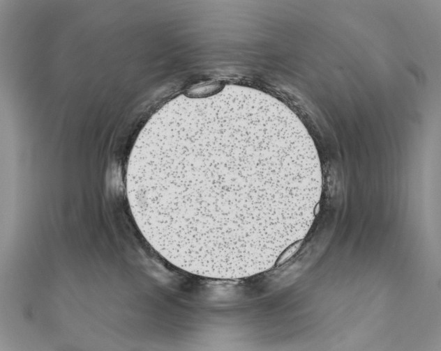 X0000110720089200907241215