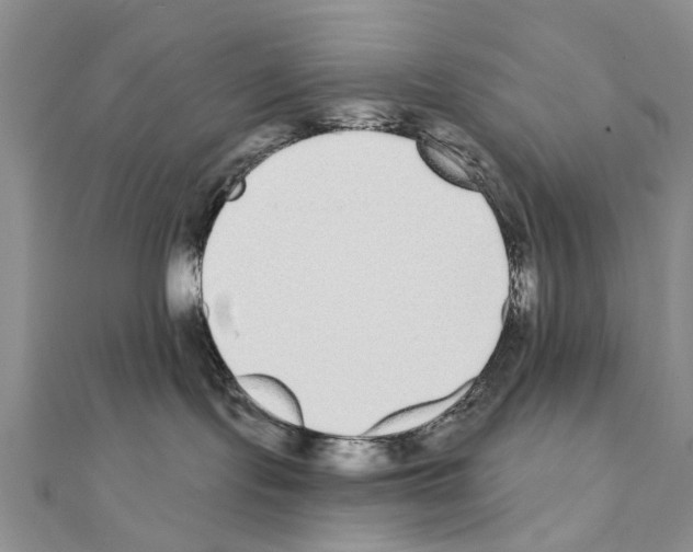 X0000110720095200907241215