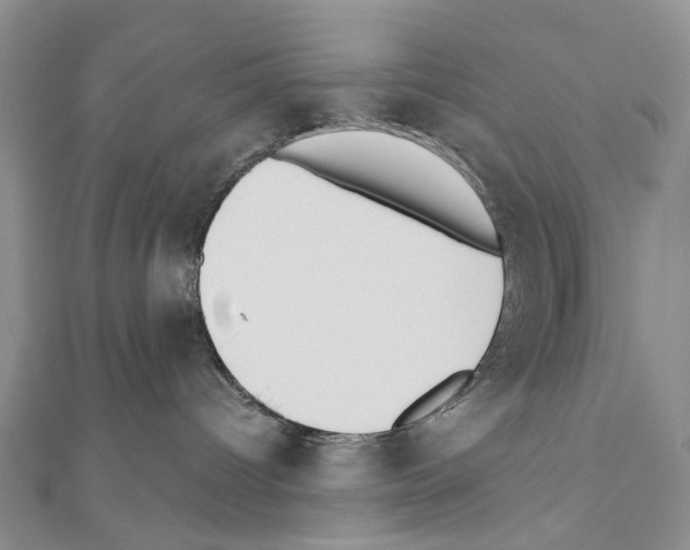 X0000110720096200907241215