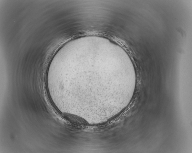 X0000110720097200907241215