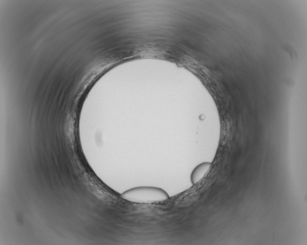 X0000110720098200907241215