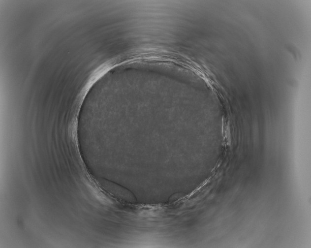 X0000110720099200907241215