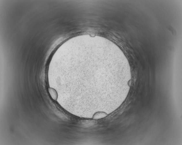 X0000110720102200907241215