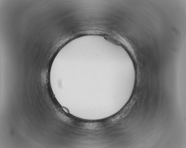 X0000110720105200907241215