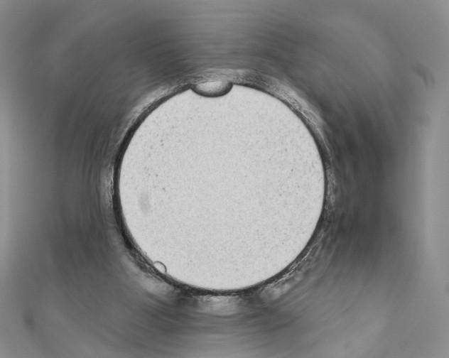 X0000110720107200907241215