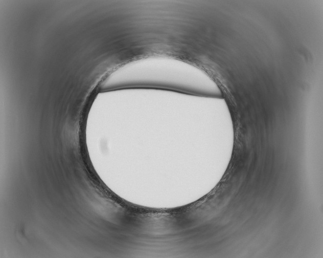 X0000110720108200907241215