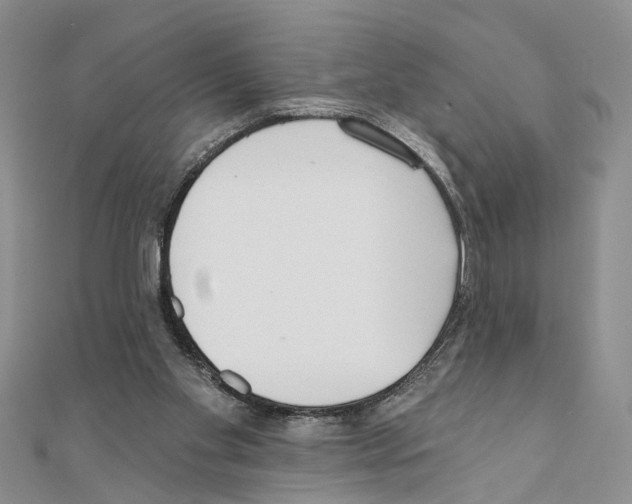 X0000110720109200907241215