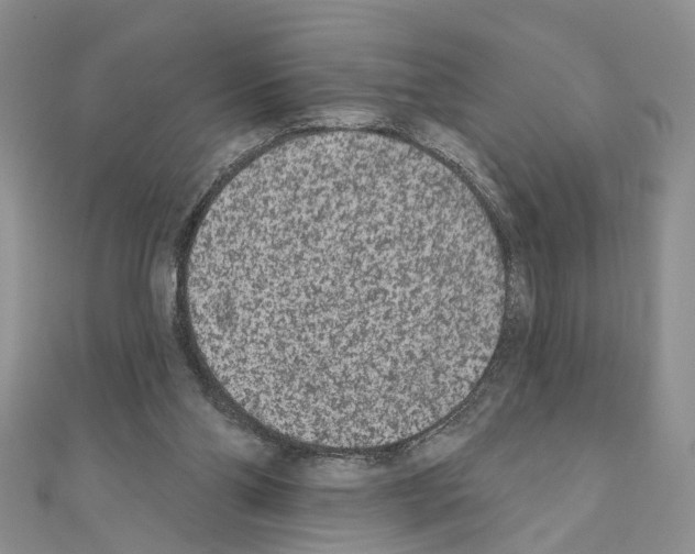 X0000110720110200907241215