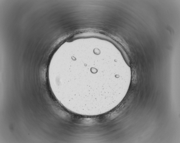 X0000110720111200907241215