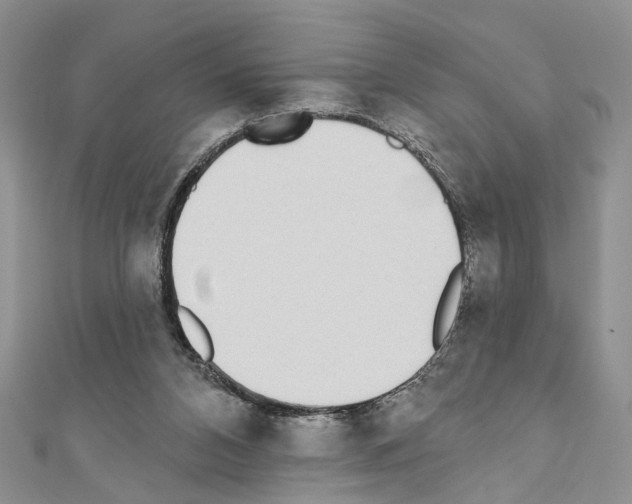 X0000110720112200907241215