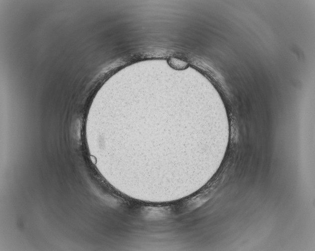 X0000110720115200907241215