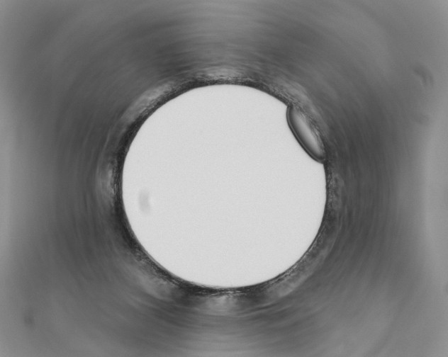 X0000110720116200907241215