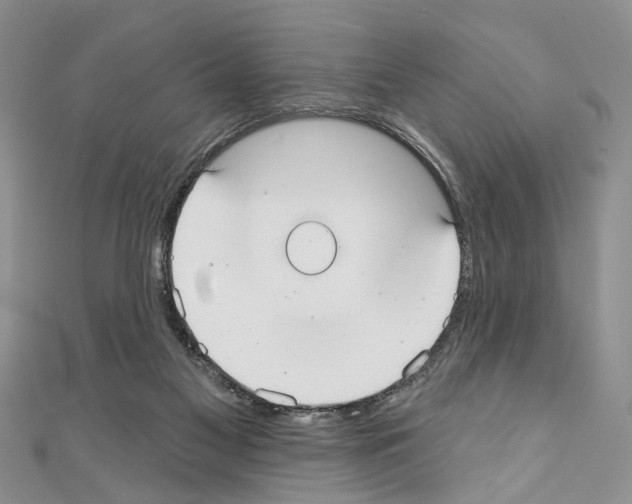 X0000110720117200907241215