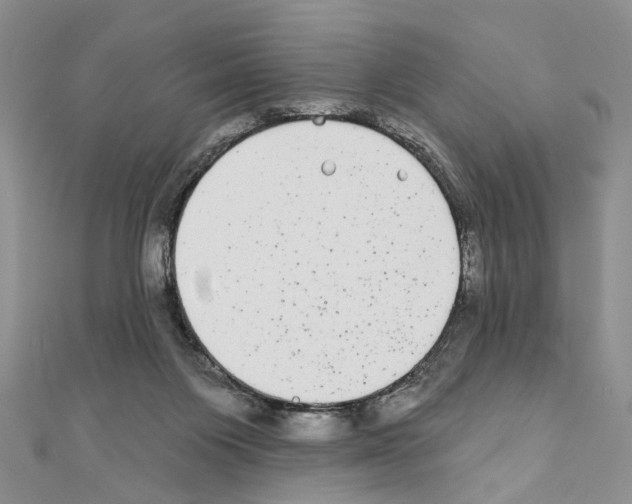 X0000110720119200907241214