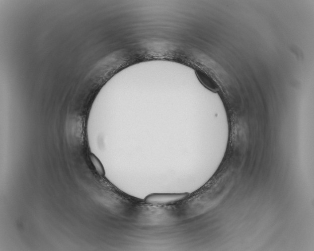 X0000110720121200907241214