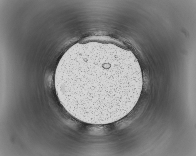 X0000110720123200907241214